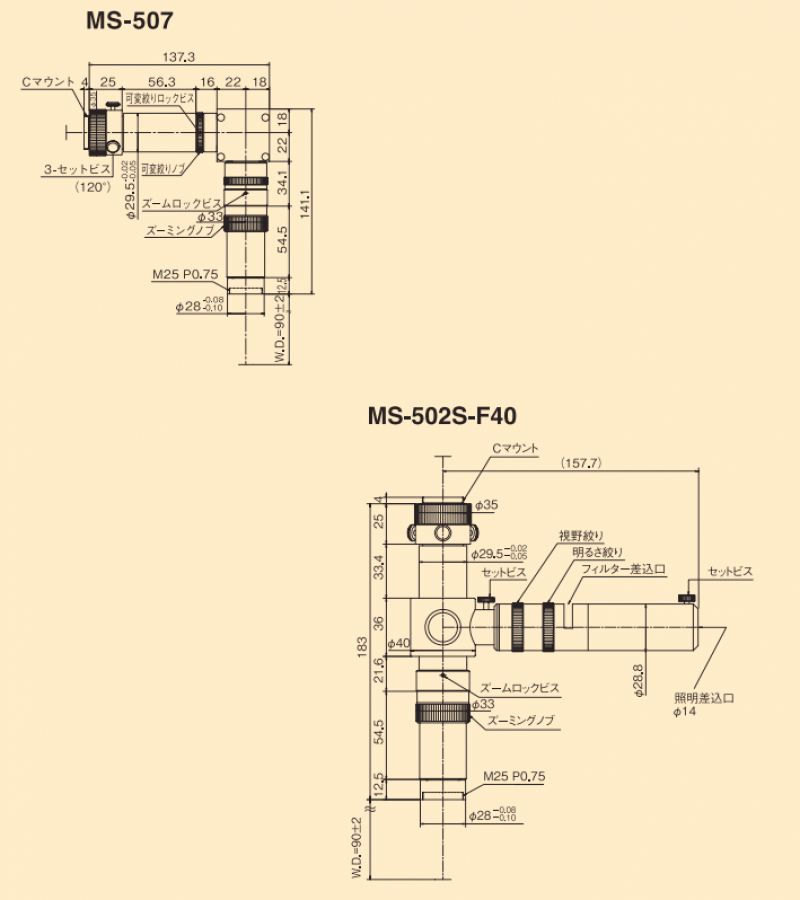 1550218458-839819_019.jpg